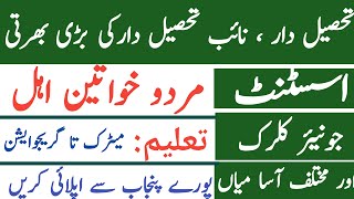 PPSC Jobs 2024  Assistant Naib Tehsildar Tehsildar amp Clerk Vacancies  Syllabus amp Exam Apply Now [upl. by Acinomad986]