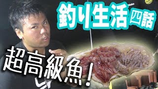 【０円生活】無人島で釣り生活 【サバイバル】 ＃4 [upl. by Adelina49]