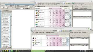 How To Display Multiple Markets Simultaneously Using Fairbot [upl. by Cos]