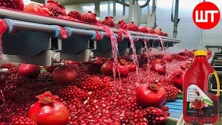 How Pomegranate Juice Is Made In Factory  Fresh Pomegranate Juice Factory Process [upl. by Glialentn]