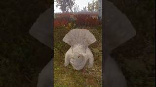 CAPERCAILLIE  BEST BIRDS IN thehuntercallofthewild  ATTACKED BY A GOLD LEUCISTIC cotw [upl. by Gannes]