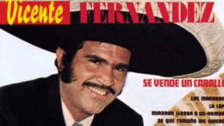 Vicente Fernandez De Que Tamaño Me Quieres [upl. by Yllah]