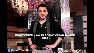 Ionut Cercel  Am zile cand vreau sa mor  Official Audio [upl. by Ethelinda]