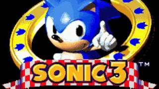 Sonic The Hedgehog 3  Title Screen Theme [upl. by Cogen]