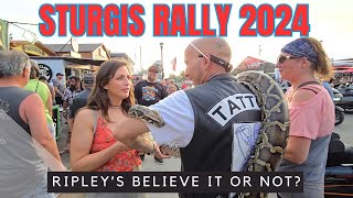 STURGIS Rally 2024 You Have to SEE it to BELIEVE it [upl. by Drusilla]