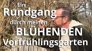 Ein RUNDGANG durch meinen BLÜHENDEN Vorfrühlingsgarten [upl. by Shurwood231]