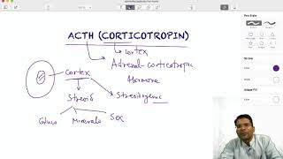 ACTH Corticotropin Hormone  function amp regulation [upl. by Monti]