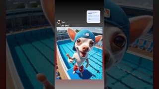 Chihuahua Jumps Off Diving Board GamerChadPlays memes [upl. by Selhorst909]