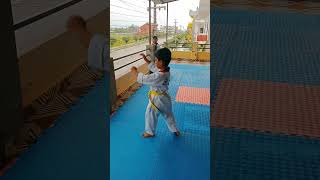 practice poomsae 3 [upl. by Lraed]