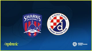 2024 NPLMVIC Round 1 Port Melbourne Sharks SC v St Albans Saints SC [upl. by Nairim]