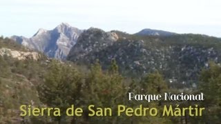 Parque Nacional Sierra de San Pedro Mártir [upl. by Sillsby]