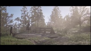 Red Dead Redemption 2 Walkthrough 13 Chapter 2 Money Lending And Other Sins Ending Paying A Social [upl. by Harman]