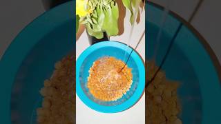 30 Tage 30 Rezepte  Chickpea Chips food recipe rezept [upl. by Er]