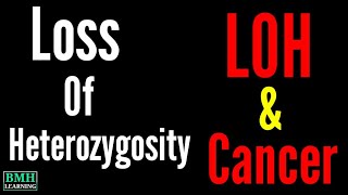 Loss Of Heterozygosity  LOH  Loss Of Heterozygosity amp Cancer  Gene Conversion [upl. by Jo-Ann]