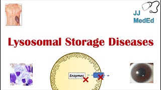 Lysosomal Storage Diseases  Overview and What You Need to Know [upl. by Craner]