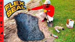 Will FLEX SEAL pond HOLD FISH [upl. by Parrnell163]