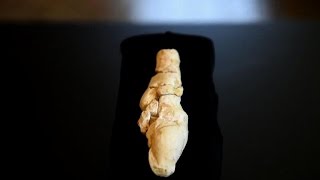 Une quotVénusquot de craie de 23000 ans découverte en Picardie [upl. by Kceb]