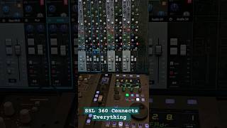 SSL 360 App 🔥🔥 for UC1UF1UF8SSL12 shortvideo short new musicproducer [upl. by Anirbes]