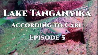 Lake Tanganyika According to Carl episode 5 [upl. by Jeannette209]