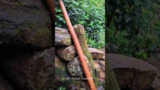 rainstick made in sri lanka Natural sound in morning and night time rainstick madeinsrilanka mg [upl. by Pacien]