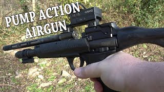 REVIEW Umarex RP5 CO2 Airgun  Underpowered Plinker [upl. by Air]