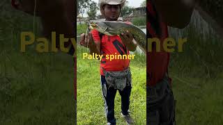 India ka palty spinner lure fishing catch Cat fish video video fishing lure [upl. by Doreg]