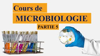 cours de microbiologie partie 5  la taxonomie bactérienne  nomenclature des microorganismes [upl. by Aned]