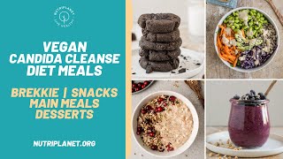 Vegan Candida Cleanse Diet Recipes and Meals for a Day [upl. by Helman500]