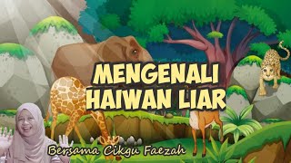 Mengenali HAIWAN LIAR  Awal Sains Prasekolah [upl. by Ahsikahs589]