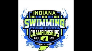 2023 ISI AGE GROUP SHORT COURSE CHAMPIONSHIPS SUNDAY FINALS DIVING WELL END POOL [upl. by Drusie82]