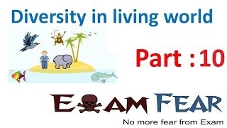 Biology Diversity in Living World part 10 Order class phylum div kingdom CBSE class 11 XI [upl. by Ahcsim]