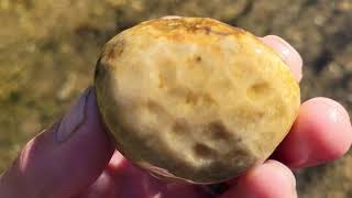 1 Petoskey Stone Made into 7 Pendants [upl. by Soane760]