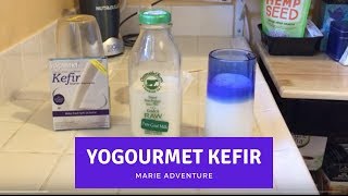 How To Make Your Own Kefir with Yogourmet Kefir Starter Kit [upl. by Sailesh]