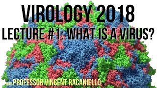 Virology Lectures 2018 1 What is a Virus [upl. by Goodill]