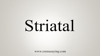 How To Say Striatal [upl. by Lennaj816]