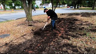 NEIGHBOR was BEATING on Their DOG  While I was UNCOVERING this 120 YEAR OLD HIDDEN SIDEWALK [upl. by Skelly864]