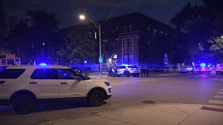 Chicago shootings At least 87 shot 16 fatally in citywide holiday weekend gun violence CPD says [upl. by Ahsilef]