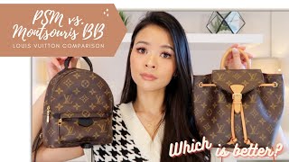 LOUIS VUITTON PALM SPRINGS MINI PSM VS MONTSOURIS BB COMPARISON PROS amp CONS  Irene Simply [upl. by Uthrop]