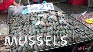 What Are Mussels  How to make Mussels in Mustard Wine Sauce [upl. by Boatwright]