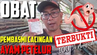 OBATT PEMBASMI CACINGAN PADA AYAM PETELUR [upl. by Aimak369]