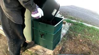 Installing The Wormery Allotment Day 23 [upl. by Limoli]