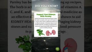 Support Your Kidneys With Parsley [upl. by Anenahs]