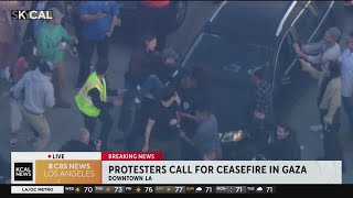 A frustrated 110 Freeway driver fights with protestors as rush hour traffic is stopped on the roadwa [upl. by Perusse]