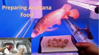 Preparing Arowana Food [upl. by Sakovich299]