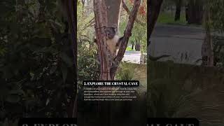 Top 5 things to do in Yanchep National Park [upl. by Eittel]