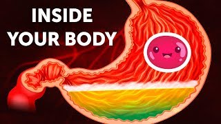 A Journey Inside Your Body [upl. by Aes]