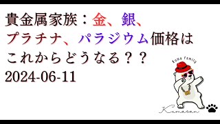 貴金属家族：金、銀、プラチナ、パラジウム価格はこれからどうなる？？20240611 [upl. by Pohsib]