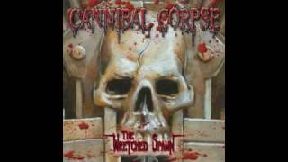 Cannibal Corpse  Psychotic Precision [upl. by Aidne857]