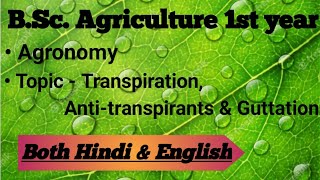 Transpiration Antitranspirants amp Guttation  Agronomy  BSc Ag 1st year  Both Hindi amp English [upl. by Suhploda253]