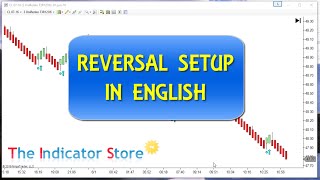 Reversal Setup Review with Ninjatrader [upl. by Onaivatco424]